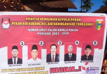 Perhitungan Suara Terpilih kepala Pekon Air Kubang dan Ngarip