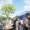 Bupati Inhil HM WARDAN Instruksikan Dinas Terkait, Pameran Bonsai dan Kontes Burung Berkicau di Jadikan Even Tahunan