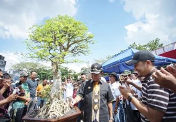 Bupati Inhil HM WARDAN Instruksikan Dinas Terkait, Pameran Bonsai dan Kontes Burung Berkicau di Jadikan Even Tahunan