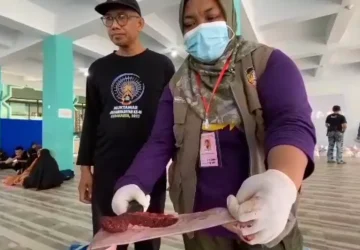 Petugas Temukan Cacing Hati Pada Hewan Kurban di Blitar