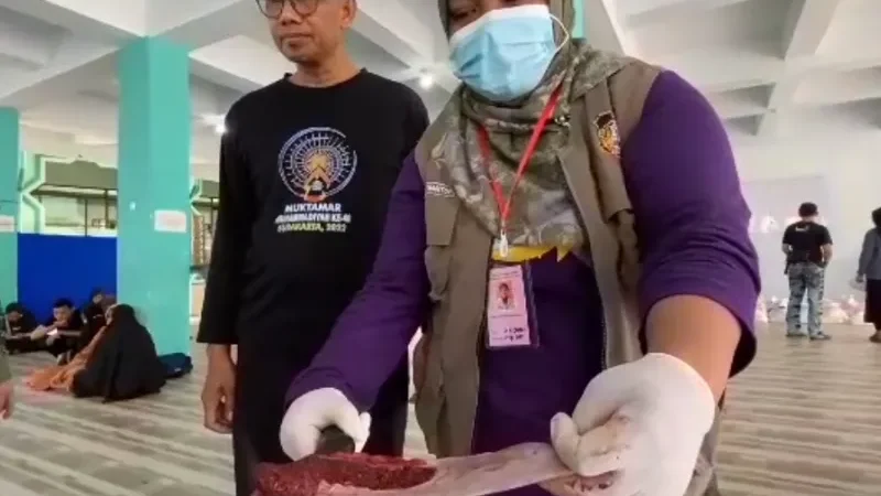 Petugas Temukan Cacing Hati Pada Hewan Kurban di Blitar