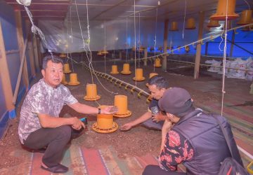 Terkait Laporan Masyarakat, Komisi II Lakukan Monitoring Usaha Ternak Ayam