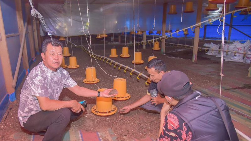 Terkait Laporan Masyarakat, Komisi II Lakukan Monitoring Usaha Ternak Ayam