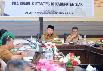 Wabup Bupati Siak Husni Merza Dukung Percepatan Penurunan Stunting