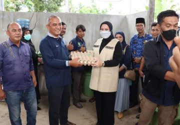 Irama Desa di Kecamatan Rengat, Bupati Indragiri Hulu Kunjungi Kantor Desa dan Bumdes Paskem