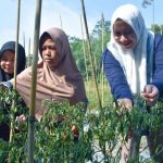 Bupati Inhu Ajak Warga Kembangkan Produk Lokal Menjadi Penopang Ekonomi Rumah Tangga Berbasis UMKM Sejahtera