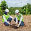 Komitmen Kuat PTBA Turunkan Emisi