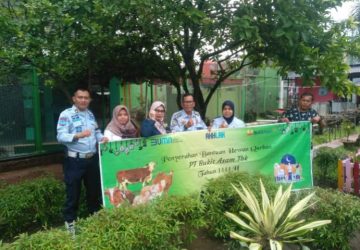 Lapas Muara Enim Terima 1 Ekor Sapi Hewan Qurban dari Pt. Bukit Asam