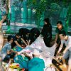 Perayaan Idul Adha 1444 H, Lapas Muara Enim Sembelih 7 Hewan Qurban