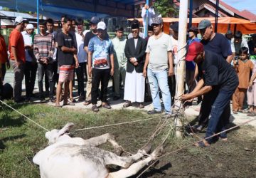 Pj Bupati Kampar Firdaus dan Keluarga Laksanakan Qurban di Masjid Ar-Rahman Pandopo