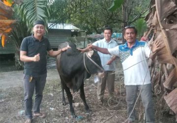Ketua DPRD Inhu Sembelih Hewan Kurban di Kampung Halaman