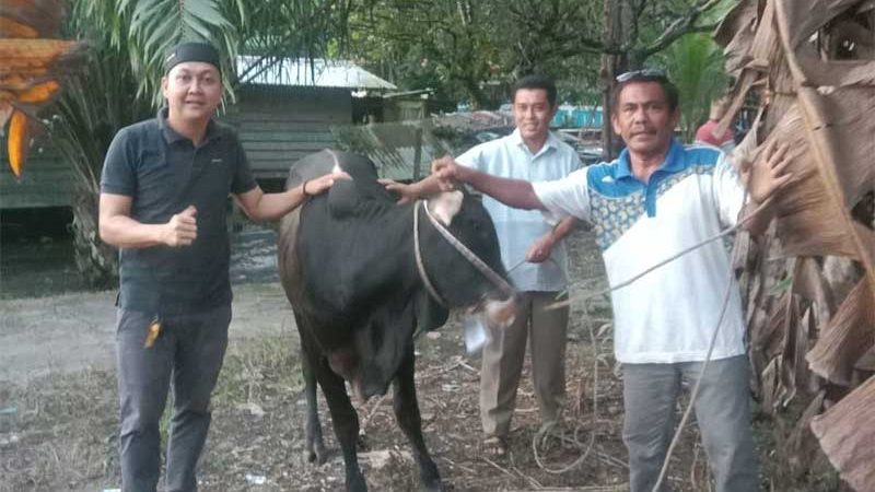 Ketua DPRD Inhu Sembelih Hewan Kurban di Kampung Halaman