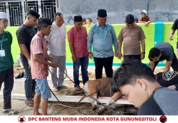 Wawako Gunungsitoli Sowa’a Laoli, Serahkan Hewan Kurban Dalam Menyambut Idul Adha 1444 Hijriah