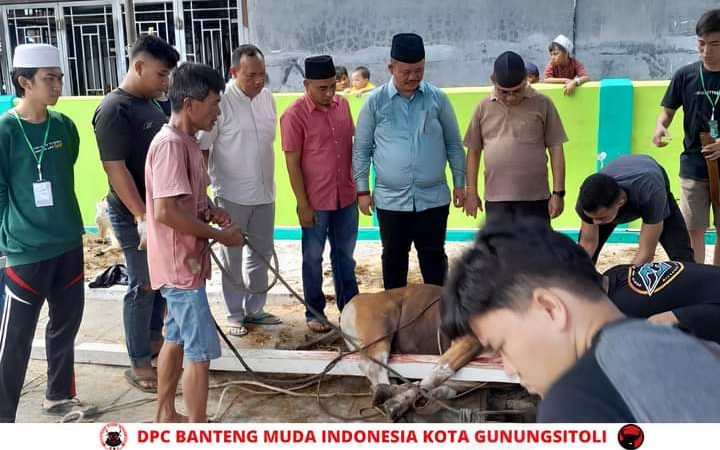 Wawako Gunungsitoli Sowa’a Laoli, Serahkan Hewan Kurban Dalam Menyambut Idul Adha 1444 Hijriah