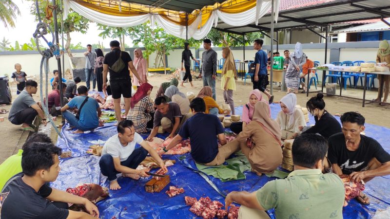 Rayakan Idul Adha 1444 H Dinkominfo Muba Berqurban 3 Ekor Sapi