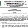 Sambut Hari Jadi Ke-511, Pemkab Bengkalis Taja Lomba Desain Logo