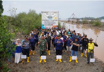 PTBA Tanam 50.000 Bibit Mangrove di Kawasan Ekowisata Cuku Nyi Nyi