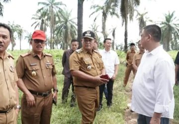Pasar Natar di Revitalisasi, Bupati Lamsel Siapkan Lahan Untuk Relokasi Sementara Pedagang