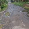 Kondisi Jalan Banjar Negeri Pekon Kusa Rusak, Warga Berharap Untuk Segera diperbaiki.