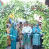 Bupati HM WARDAN dan Ketua TP PKK Inhil Hj. Zulaikhah Hadiri Gebyar DMIJ Plus Terintegrasi dan Jambore Kader PKK Kec. Tembilahan Hulu