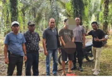 Kapolsek Tambusai Utara AKP P Simatupang SH Beserta Personil Langsung Turun Kelapangan Melakukan Penangkapan Diduga Kasus Narkotika Jenis Sabu