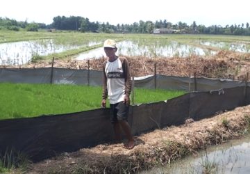 Bantuan dari Bukit Asam Tingkatkan Penghasilan Petani di Lampung