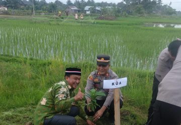 Polsek Peureulak Tanam Sejumlah Pohon
