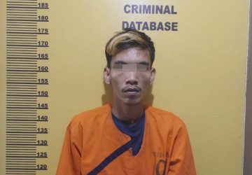 Satres Narkoba Polres Indragiri Hulu Ungkap Seorang Pengedar Sabu, 8,56 Gram Sabu di Amankan