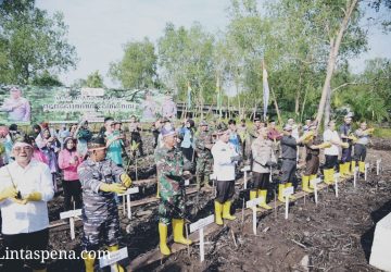 Bupati Bengkalis Ajak Masyarakat Lestarikan Hutan Mangrove