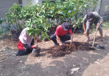Galakkan Penghijauan Sesuai Arahan Bupati, Dinas TPHBUN Lamsel Tanam Pohon Bernilai Ekonomis