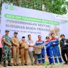 Tingkatkan Produksi Madu Trigona, Pertagas Tanam Bibit Pohon Pengembangan Nektar
