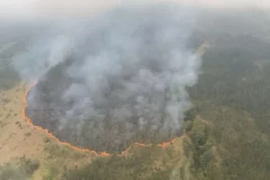 Gubernur Khofifah Pimpin Operasi Pemadaman Kebakaran Hutan di Arjuno