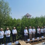 Kolaborasi dengan Pemerintah, PTBA Ikut Aksi Tanam Mangrove
