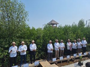 Kolaborasi dengan Pemerintah, PTBA Ikut Aksi Tanam Mangrove