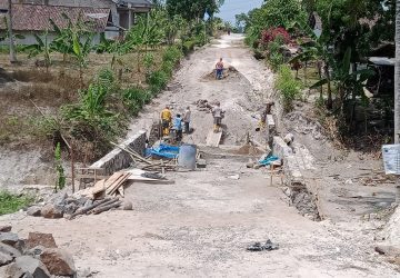 Proyek Gorong-gorong Box Culvert di Dusun Trans Jember Ketapang Dikeluhkan Warga, PUPR Lamsel Dinilai Lemah Pengawasan!