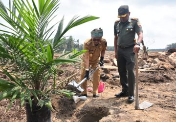 Bersama Dirjen Perkebunan RI, Pj Bupati Kampar Lakukan Kick Of Tanam Perdana Percepatan PSR