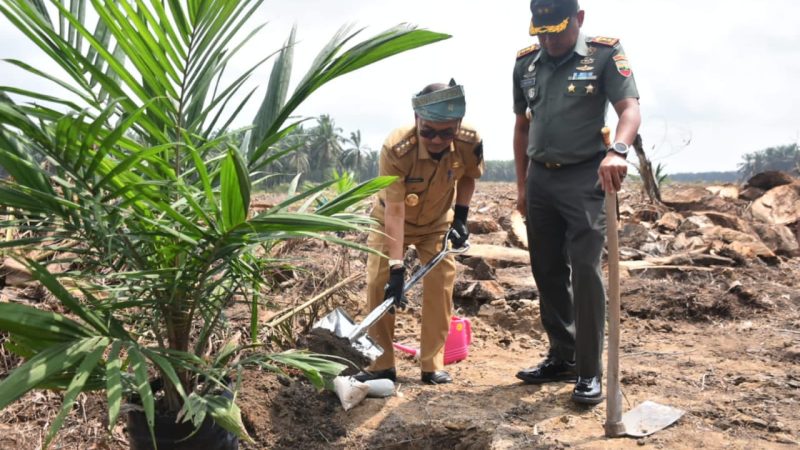 Bersama Dirjen Perkebunan RI, Pj Bupati Kampar Lakukan Kick Of Tanam Perdana Percepatan PSR