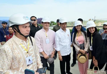 Jokowi Ajak Penggiat Seni Berkeliling IKN