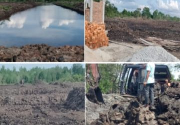 Hutan Mangrove Wilayah Pesisir Bengkalis Riau, Diduga Dialih Fungsikan Jadi Tambak Udang Oleh Oknum-oknum Tertentu