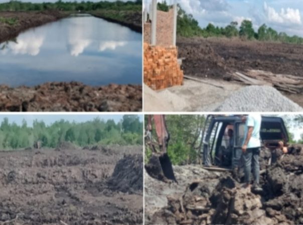 Hutan Mangrove Wilayah Pesisir Bengkalis Riau, Diduga Dialih Fungsikan Jadi Tambak Udang Oleh Oknum-oknum Tertentu