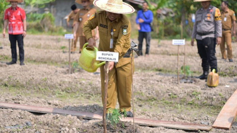 Peringatan Hari Tani Nasional Ke-63, Bupati Harapkan Menjadi Momentum Dalam Mendorong Serta Meningkatkan Kesejahteraan Petani