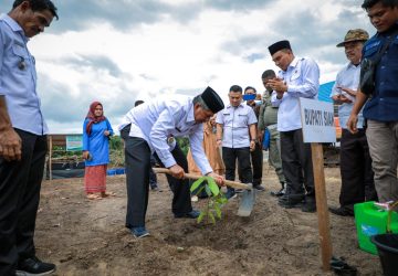 Tanam Pohon Cara Mewariskan Alam Untuk Anak Cucu Kelak
