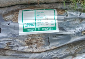 Dugaan Penyalahgunaan Dana PEN Tahun 2021, yang di Kelola PJN Wilayah Riau Mencuat