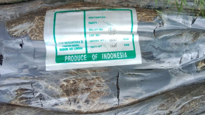 Dugaan Penyalahgunaan Dana PEN Tahun 2021, yang di Kelola PJN Wilayah Riau Mencuat