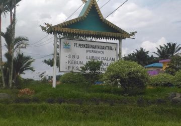 Tak Ingin di Klarifikasi Wartawan, Diminta Disnakertrans Provinsi Riau Panggil Pimpinan PTPN V  Lubuk Dalam