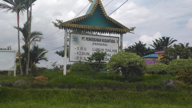 Tak Ingin di Klarifikasi Wartawan, Diminta Disnakertrans Provinsi Riau Panggil Pimpinan PTPN V  Lubuk Dalam