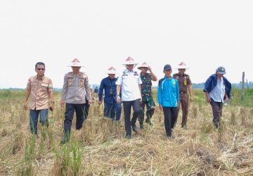 Asisten II Setda Muba Hadiri Gerakan Nasional Ketahanan Pangan 2023