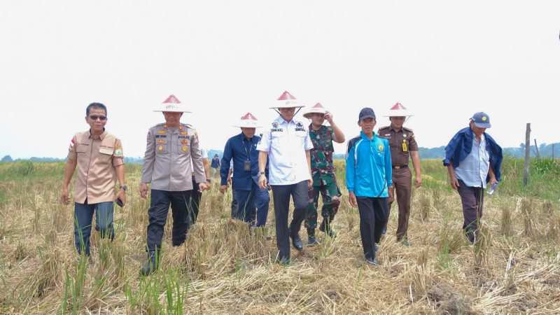 Asisten II Setda Muba Hadiri Gerakan Nasional Ketahanan Pangan 2023