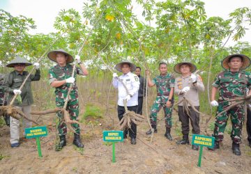 Sukseskan Hanpangan Nasional 2023, Bupati Vidcon bersama Wapres Ma’ruf Amin