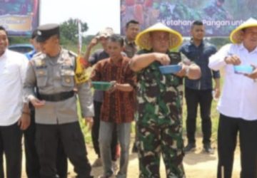 Hanpangan Secara Serentak, Dandim 0302/Inhu Vidio Conference dengan Wakil Presiden RI
